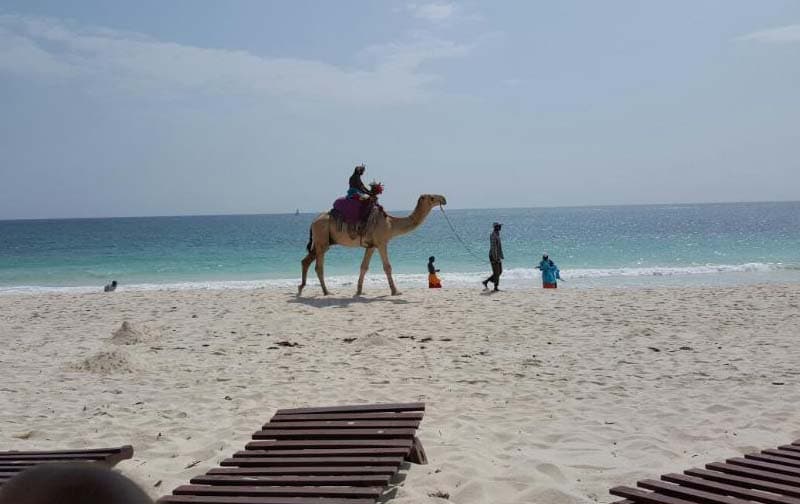 Southern Palms Beach Resort, Diani Beach