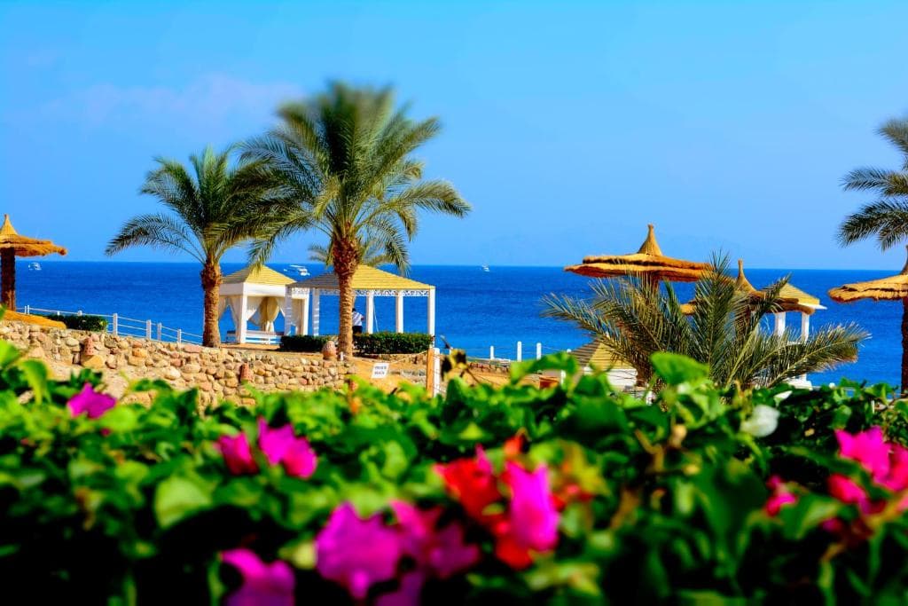 Royal Monte Carlo, Sharm El Sheikh