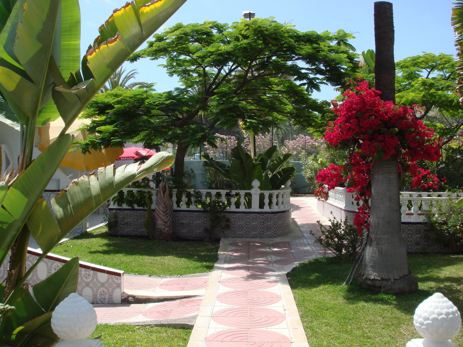 San Valentin and Terraflor Park, Playa del Ingles