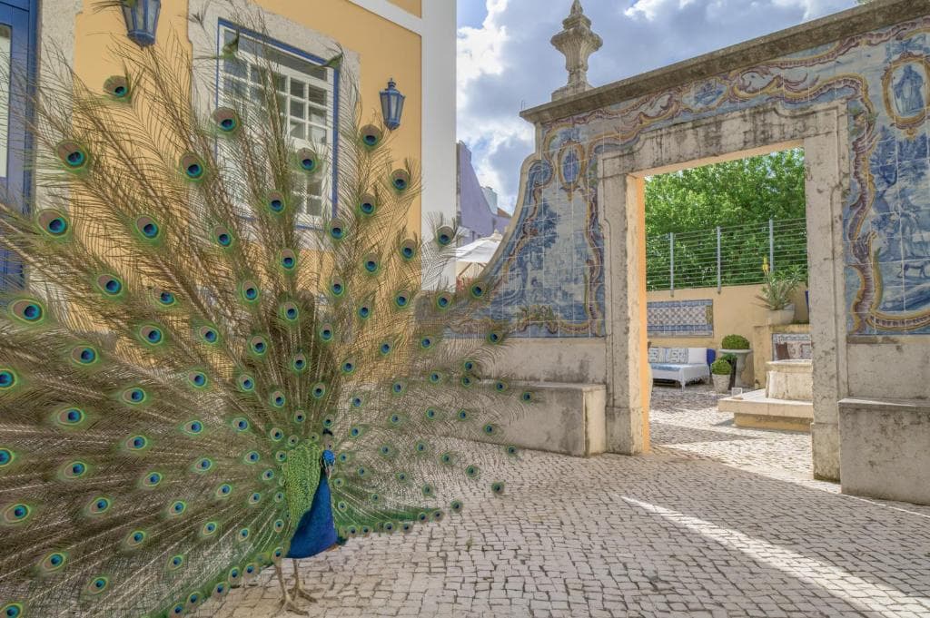 Solar do Castelo - Lisbon Heritage Collection, Lisabona City