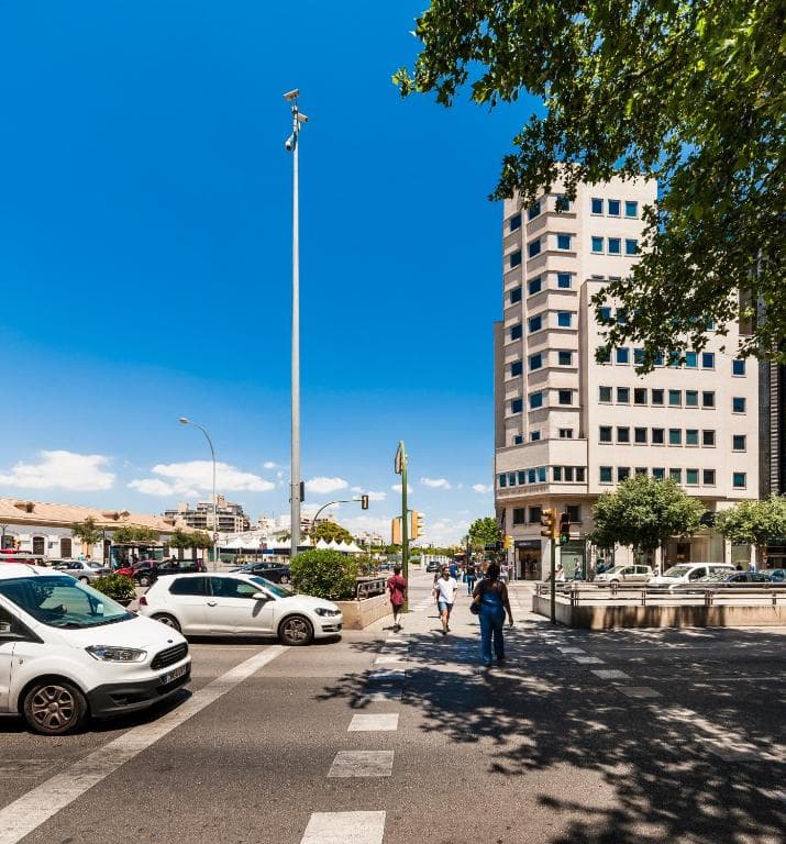 Palacio Avenida, Palma de Mallorca